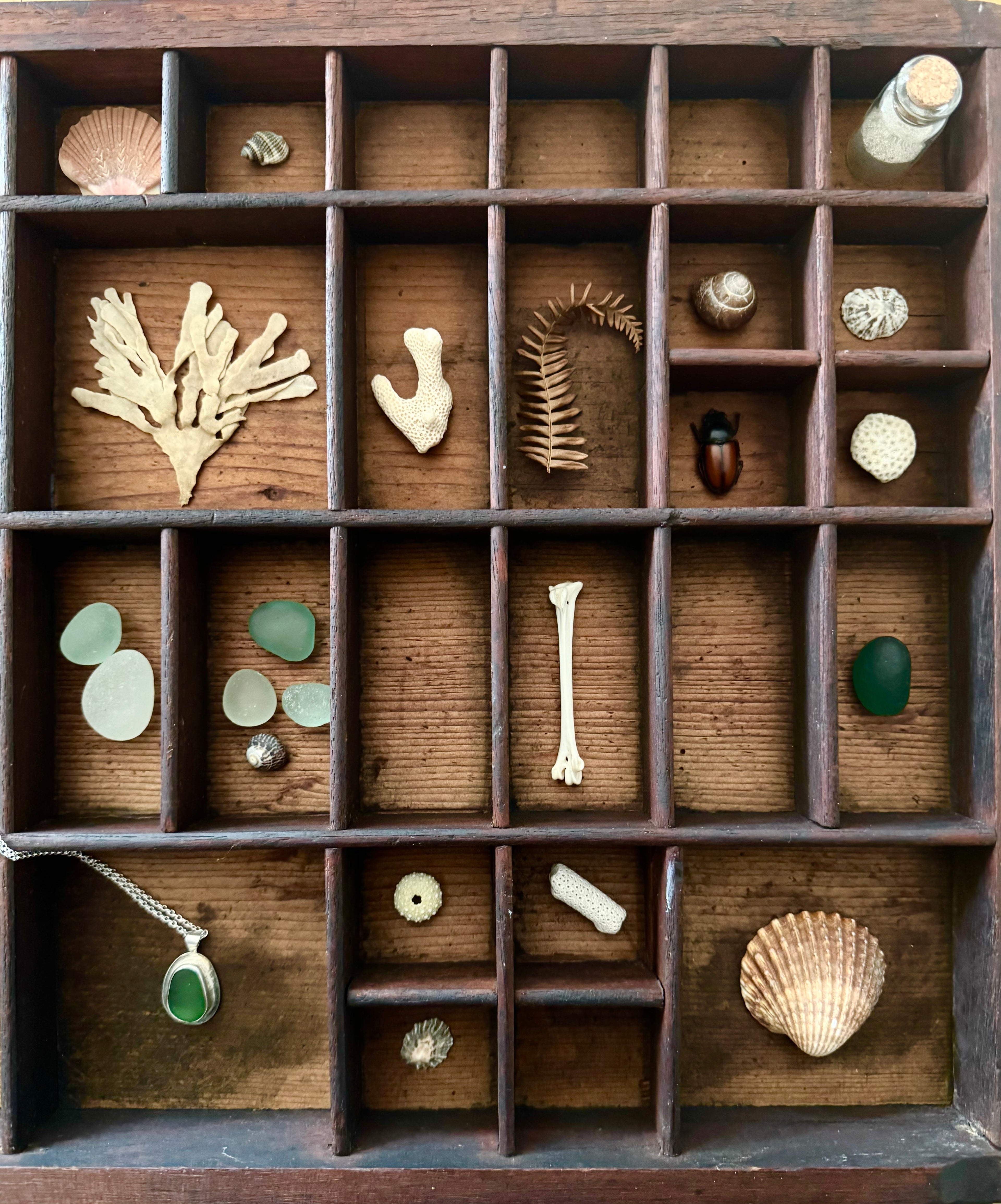 Home page