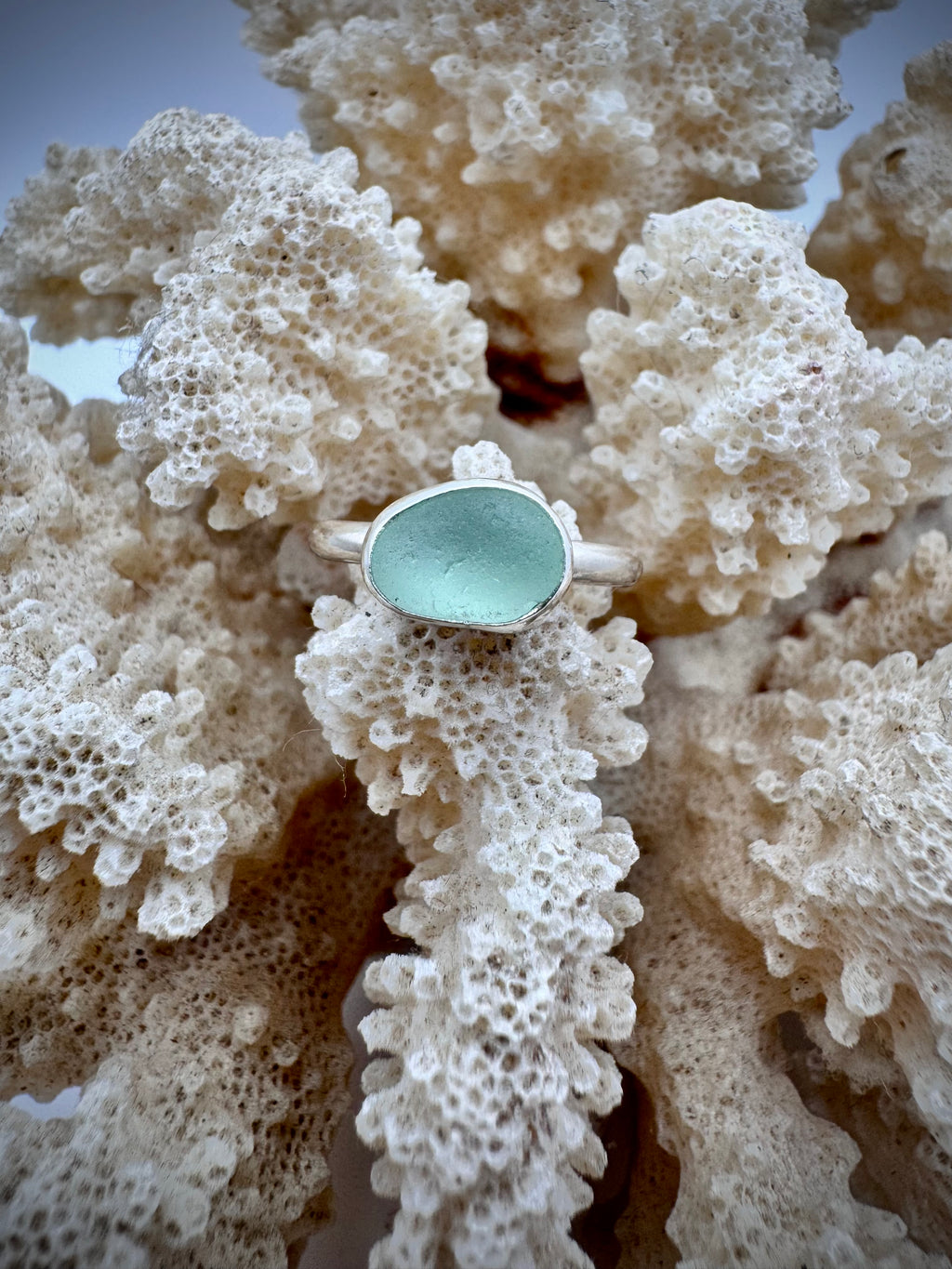 Erosion Ring