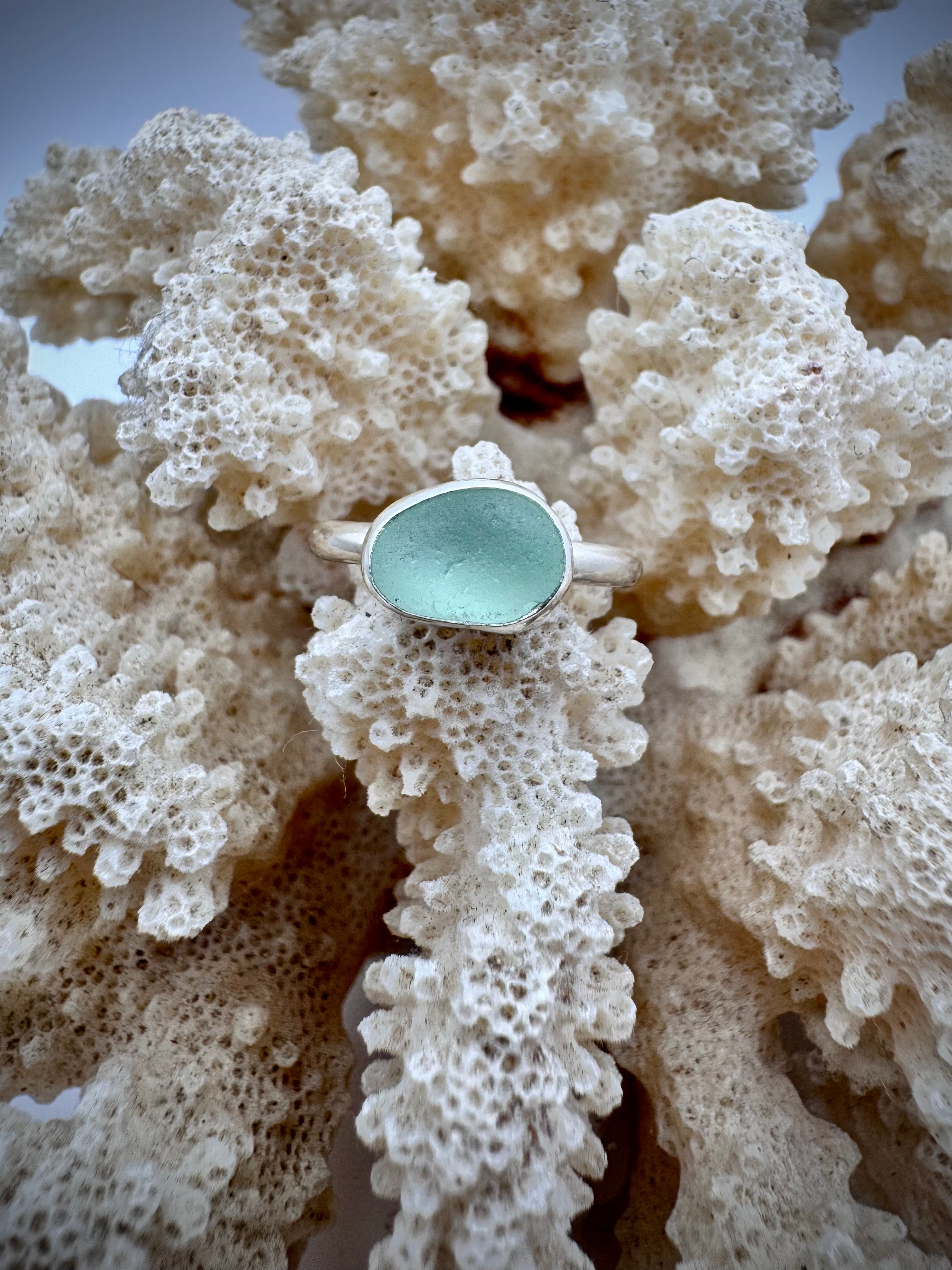 Erosion Ring