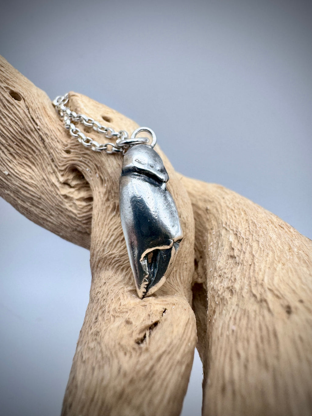 Remnant Pendant