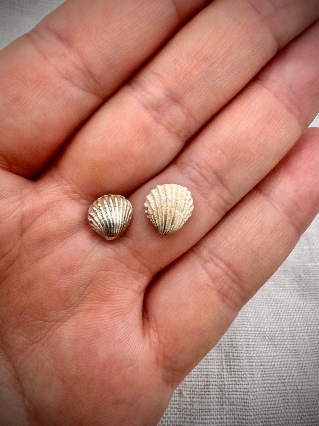 Vessel Stud Earrings