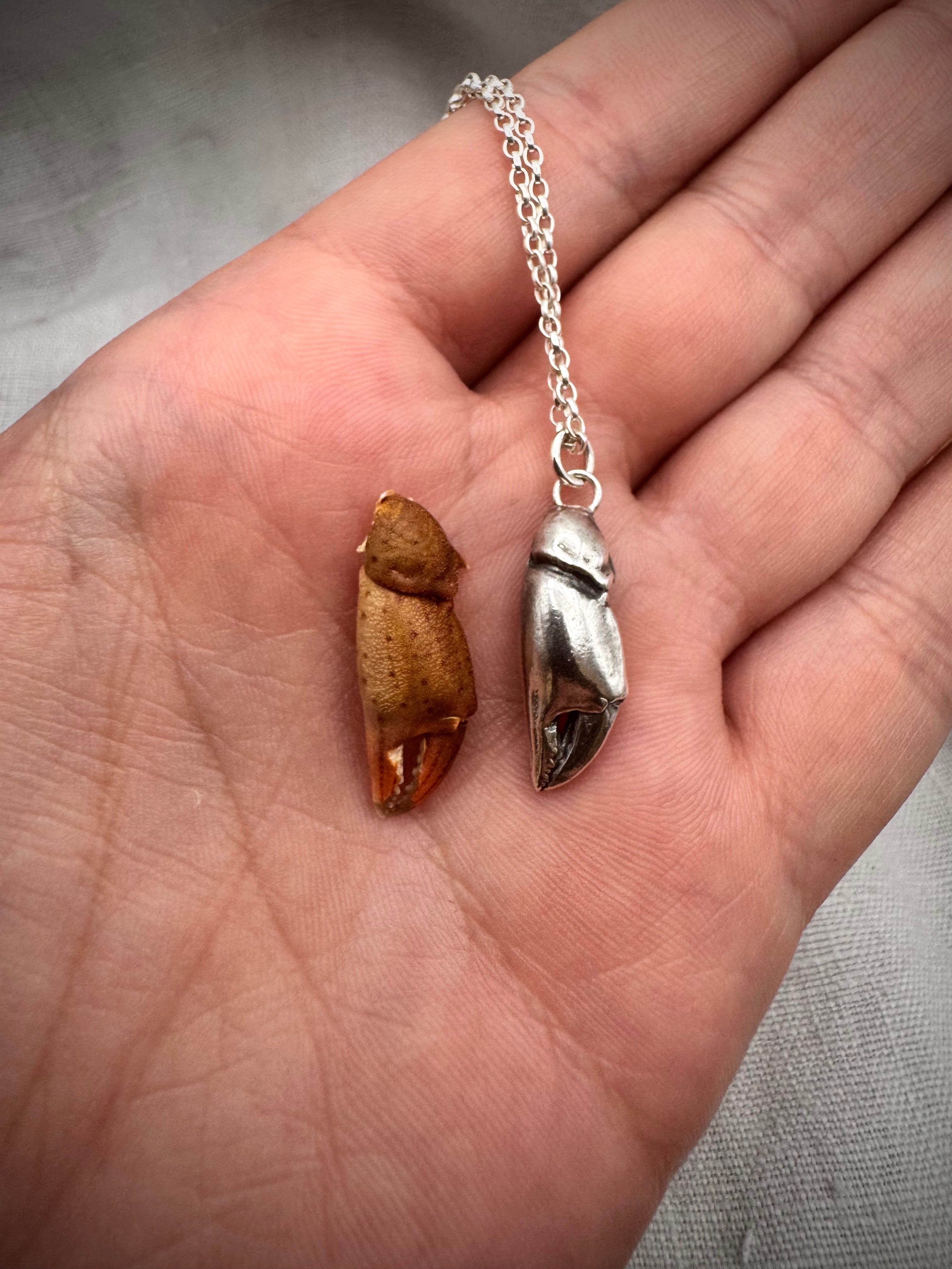 A silver crab claw pendant next to the real crab claw it was cast from, on a hand.